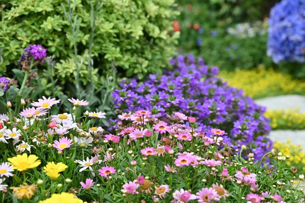 Fergus garden tour promises to be inspiring, motivating, magnificent post image