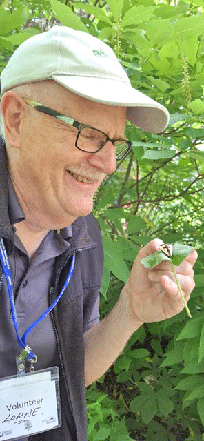 Remaining ‘Bringing Nature Home’ garden tour set for September post image