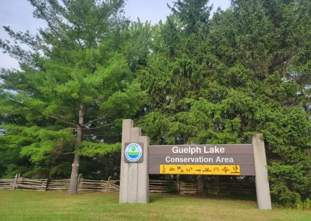 Ten people rescued at Guelph Lake post image