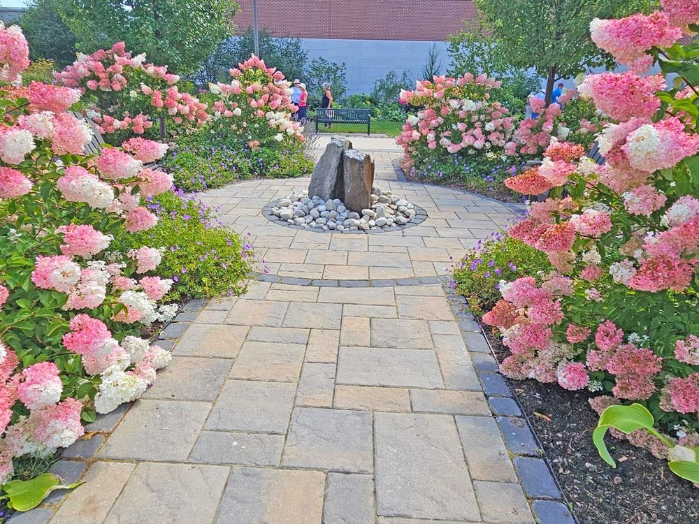 Healing Garden at Groves hospital at peak bloom