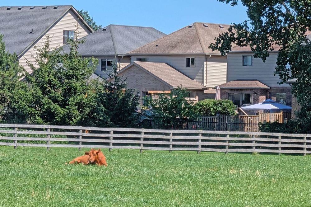 Local advocates to pitch farmland buyout plan for Centre Wellington post image
