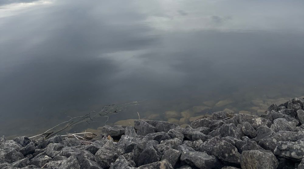Late summer brings water quality concerns to Wellington post image