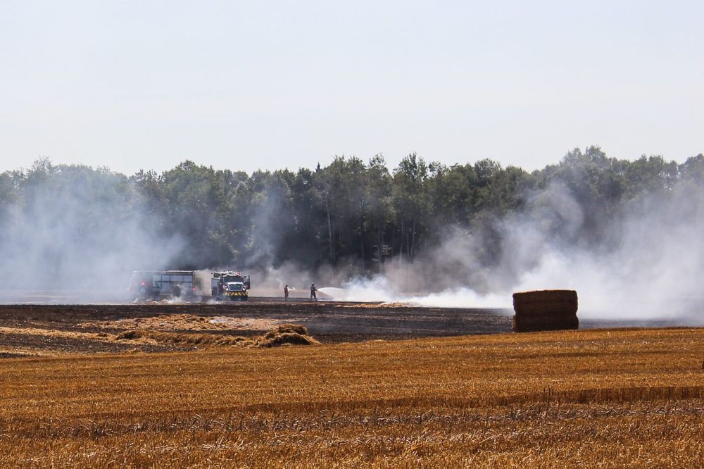 Neighbours help contain spreading field fire post image