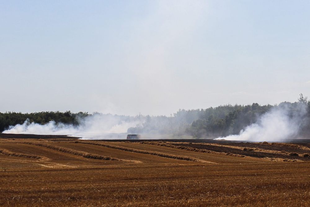 Neighbours help contain spreading field fire