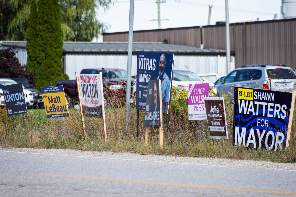 Voters have many options in Oct. 26 election post image