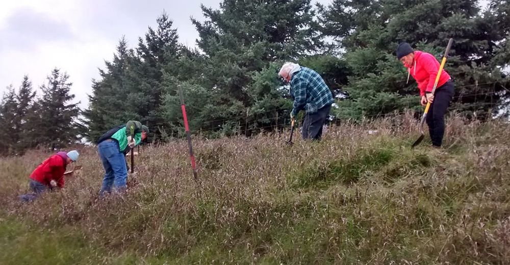 Successful fundraising by Hillsburgh committee post image