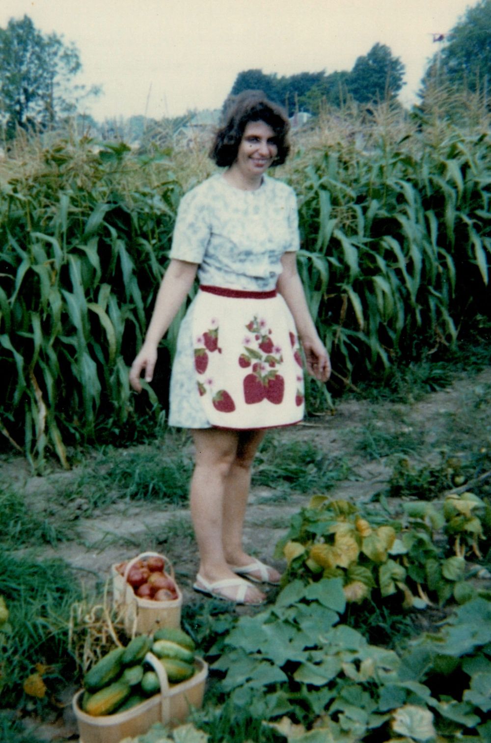 ROBINSON, Barbara (nee Zimmerman) post image