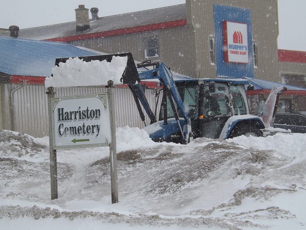 Storm clean up post image