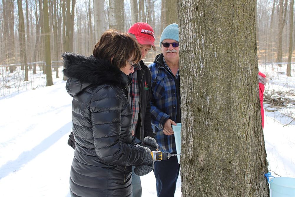 Late start for Wellington County syrup producers post image