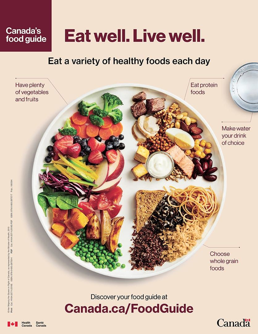 Dairy, beef farmers defend products while food guide promotes plant protein post image