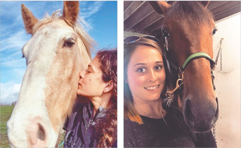 Equine Guelph announces tuition award winners post image