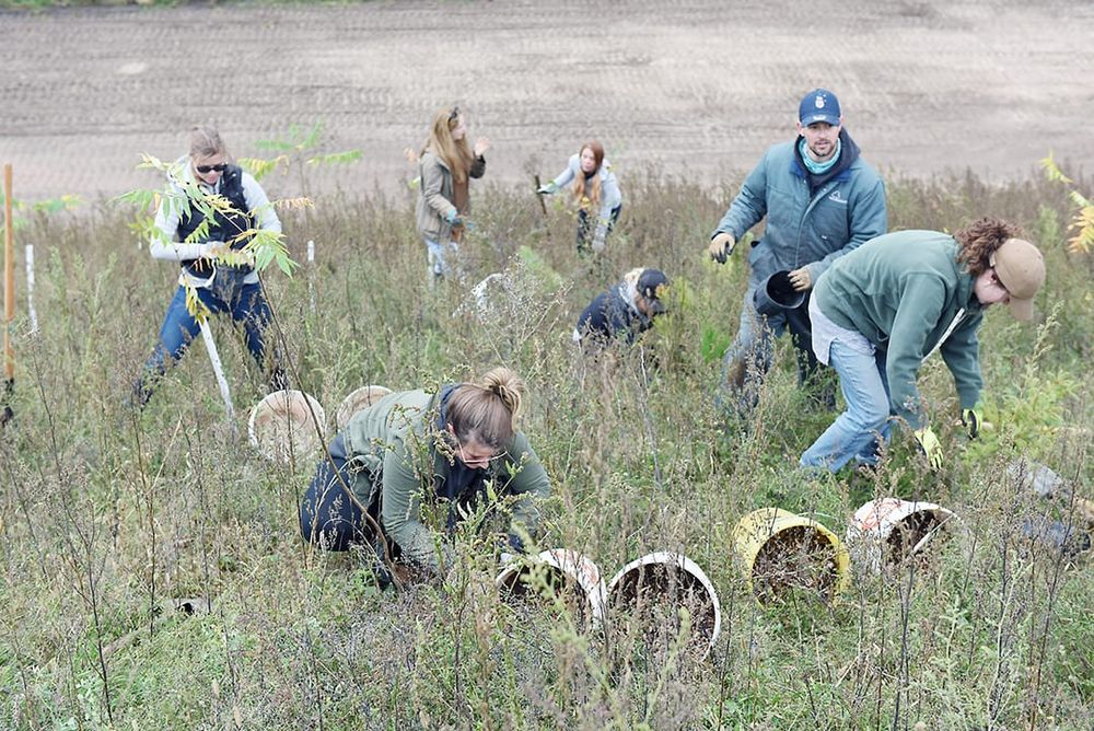 County report: Green Legacy committee  terminated - but program continues to thrive post image