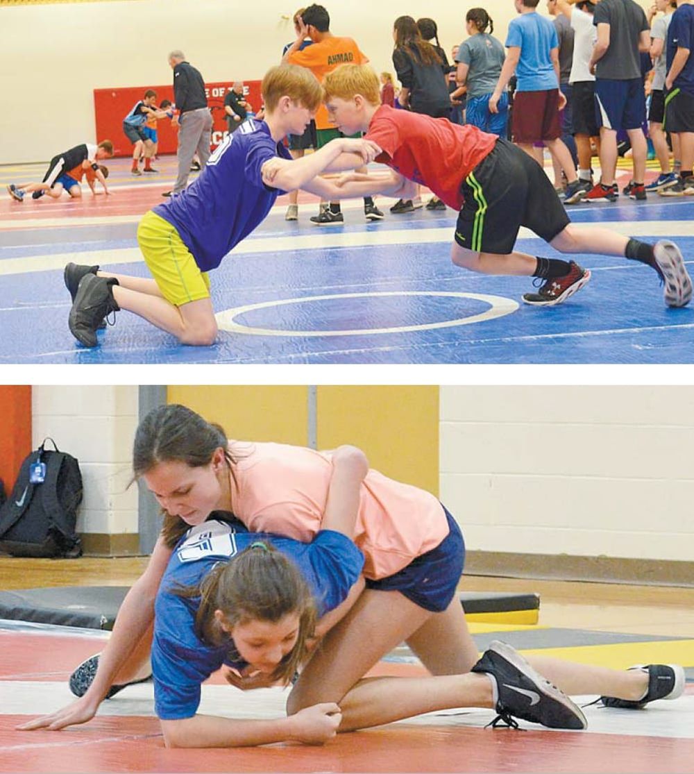 Head to head post image