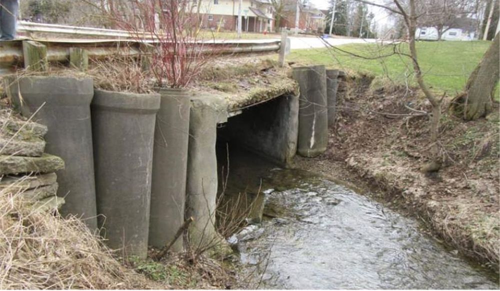 Town applies for funding  to reopen Palmerston bridge post image