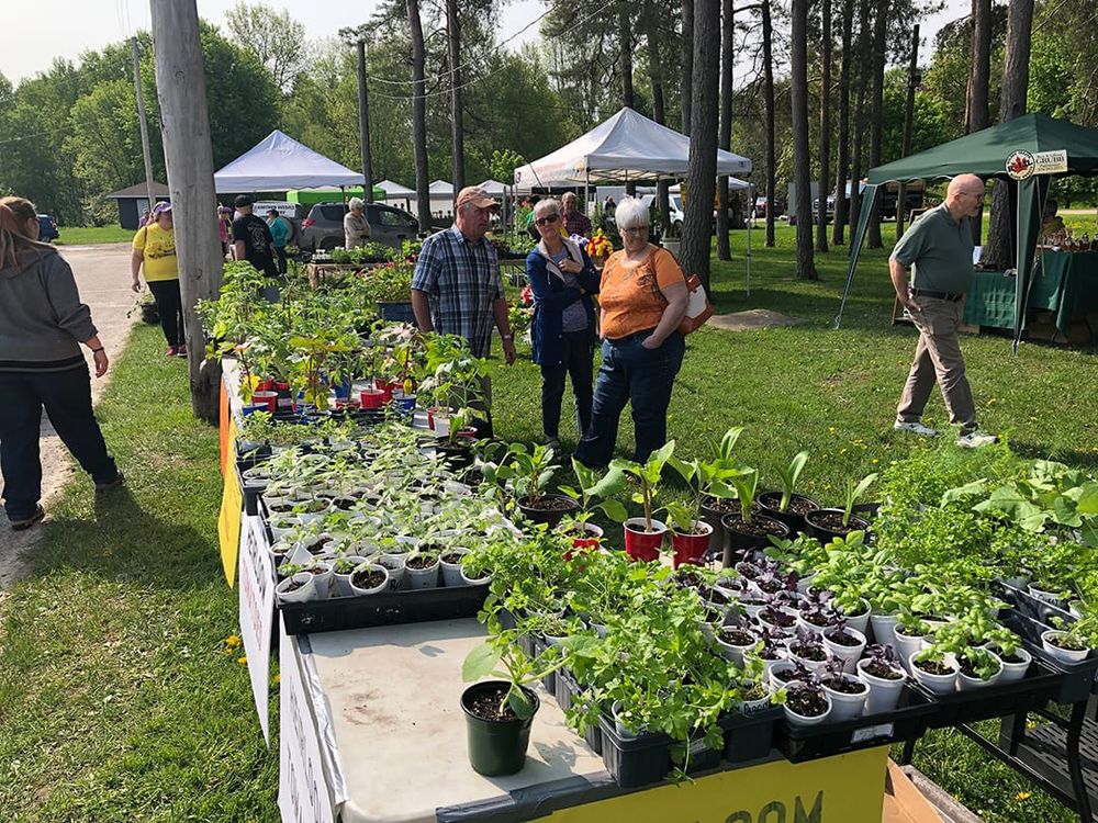 Harriston and District Horticultural Society hosts 18th annual Garden Festival post image