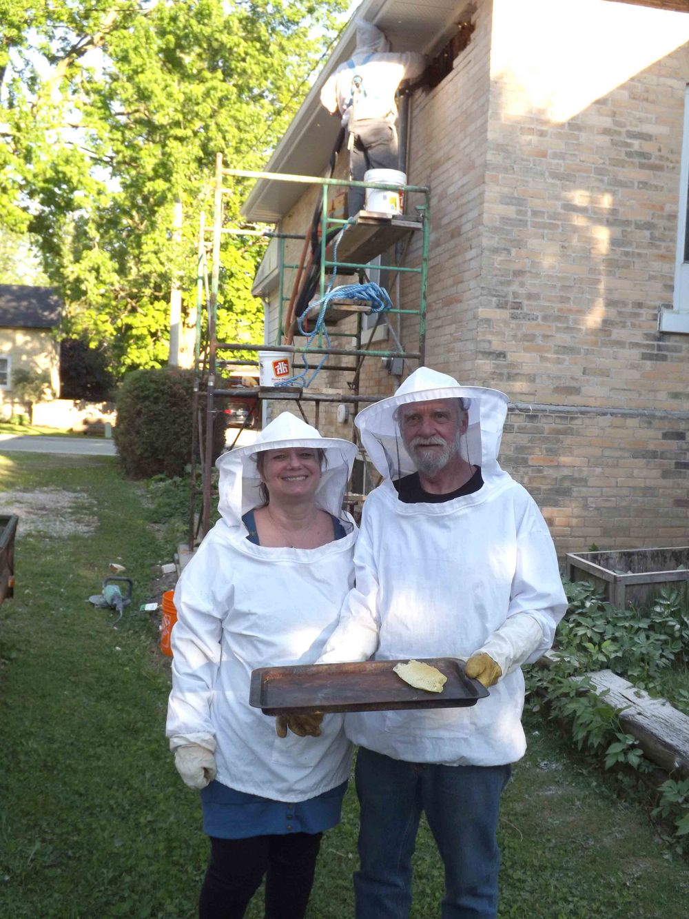 Bee rescue specialist removes massive hive post image