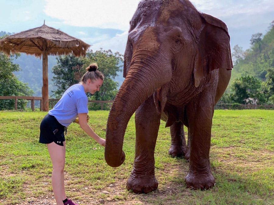 Alma resident travels to Thailand; works with elephants, dogs post image