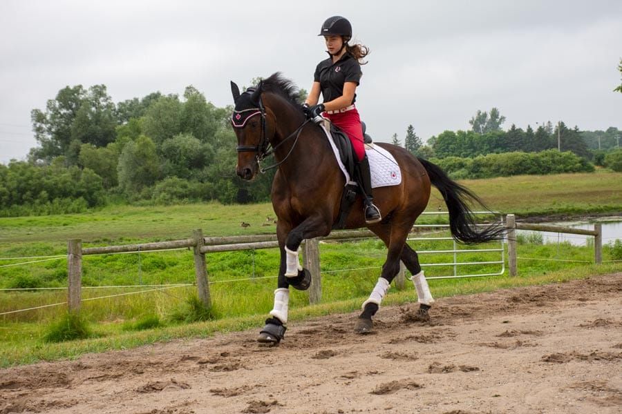 Local youth competing at international dressage competition post image