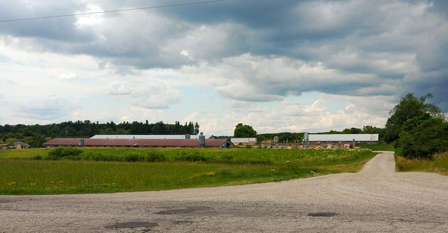 WrightHaven Homes presents new proposed plan of subdivision in Inverhaugh post image