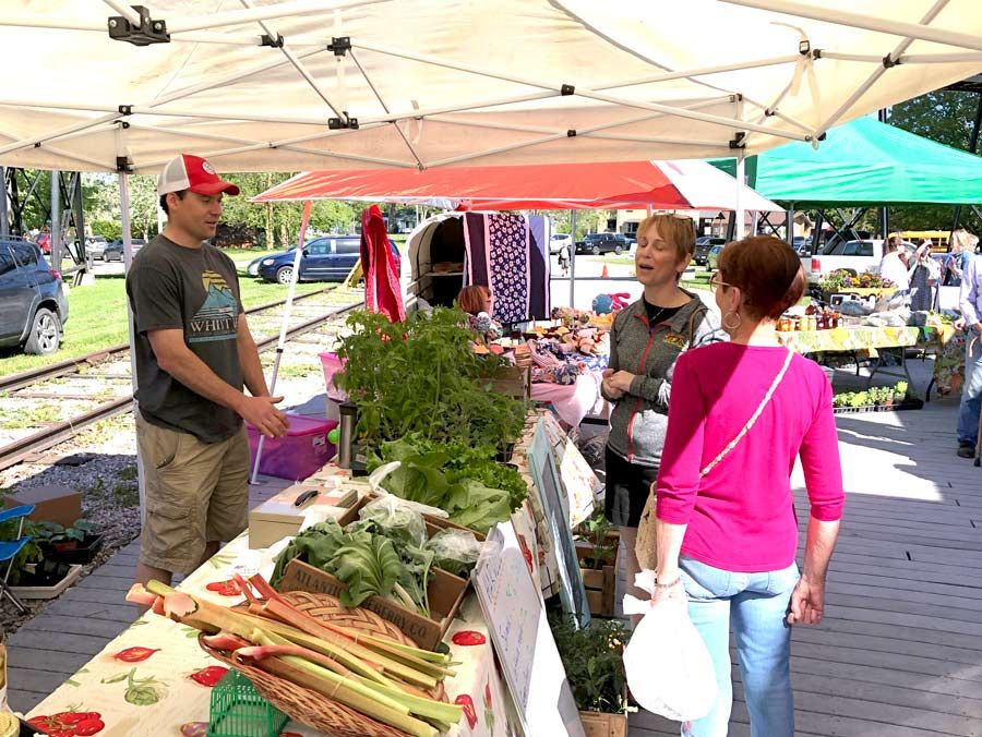 Minto Farmers Market opens for season in Palmerston post image