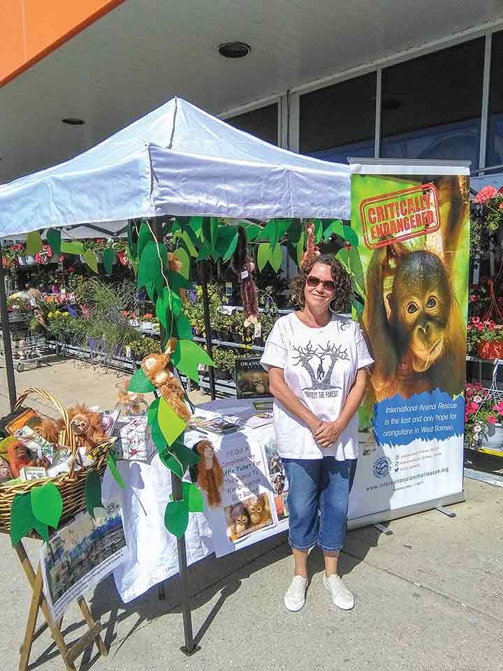 International Animal Rescue’s Orangutan Project raises $810 post image