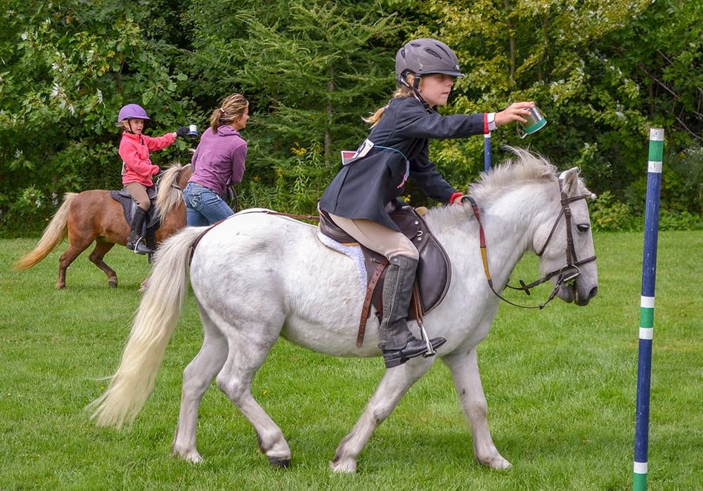 Aberfoyle fair celebrates Puslinch Roots and Rubber Boots post image