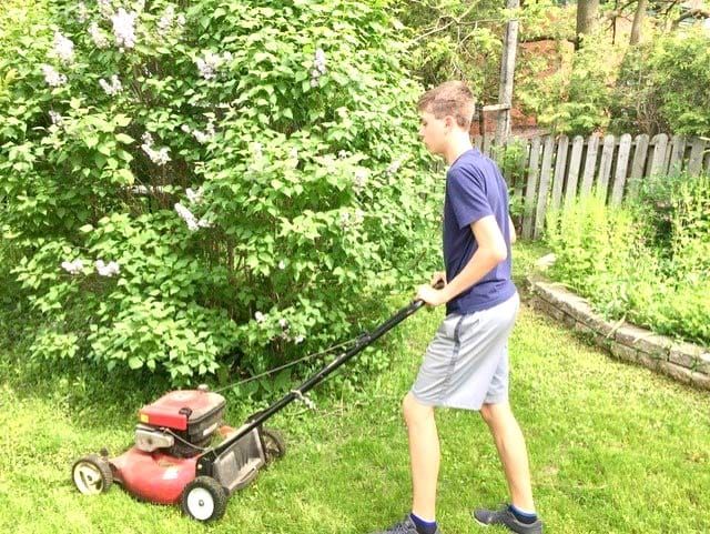 Boyz Next Door Lawns and More handle lawn care and odd jobs post image