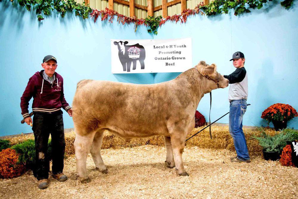 Local businesses support youth at Rockton Worlds 4H finale post image