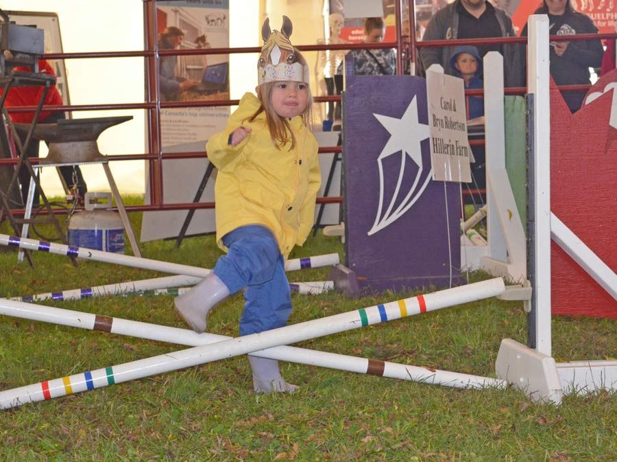 Celebrating the harvest at Erin Fall Fair post image