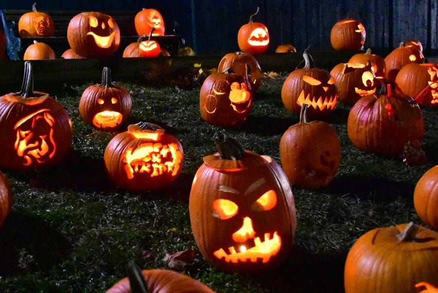 Annual Pumpkin Walk took place at Wellington County Museum post image