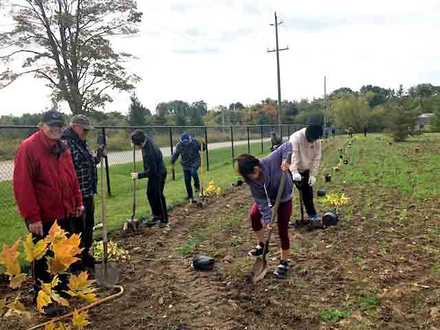 Tree planting on former landfill creates new habitat post image
