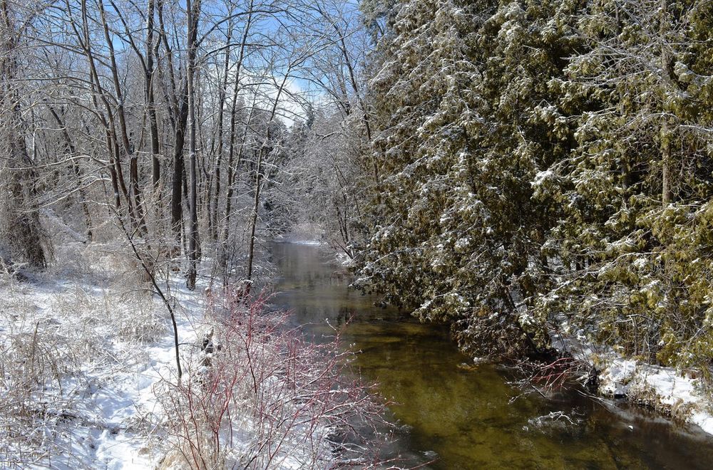 Erin council votes to proceed with wastewater system post image