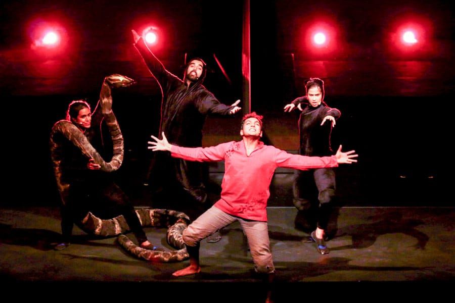 Jungle Book comes to life on stage at the River Run Centre post image