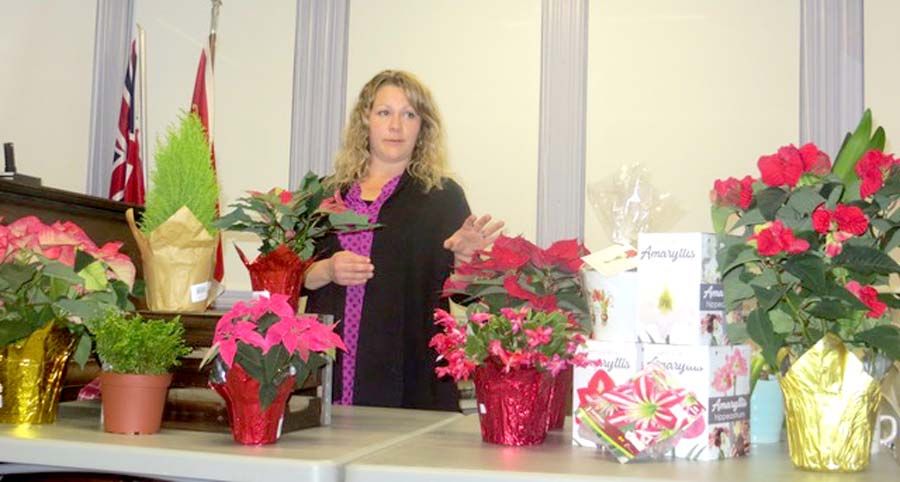 Christmas plant care topic at horticultural society meeting post image