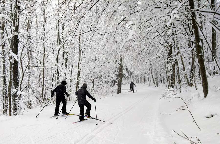 Erin cadets display talents at winter biathlon event post image