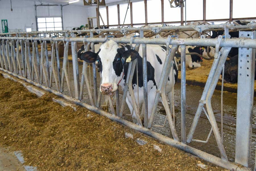 Farmers, animal rights groups clash on Bill 156 post image