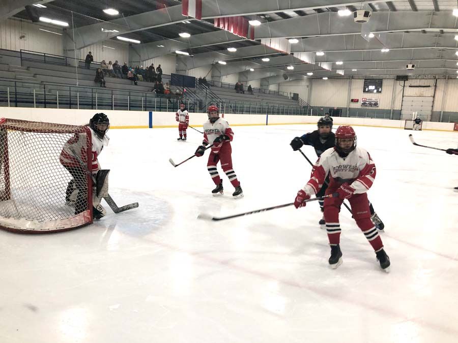 Norwell's Varsity Reds girls hockey take top spot in District 4 regular season post image