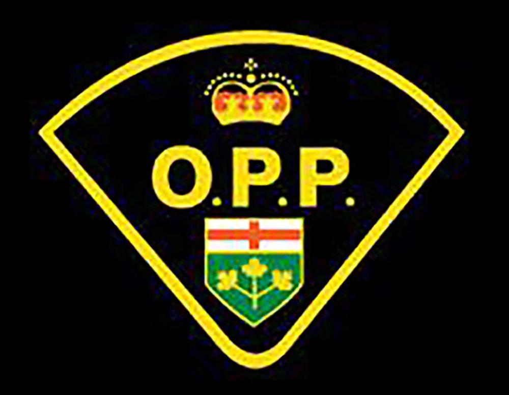 OPP officer justified in detaining reporter at accident scene but took camera card without warrant: report post image