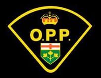 Palmerston man charged in connection with assault, Taser threat: OPP post image