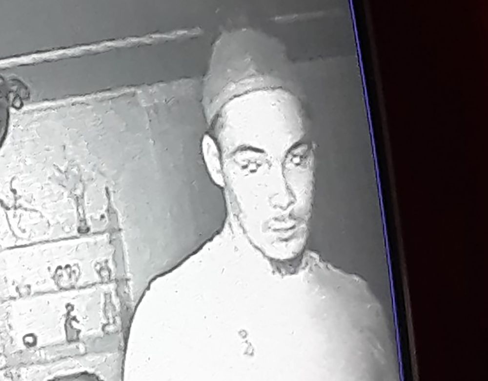 Firearms stolen during break-in at Erin home post image