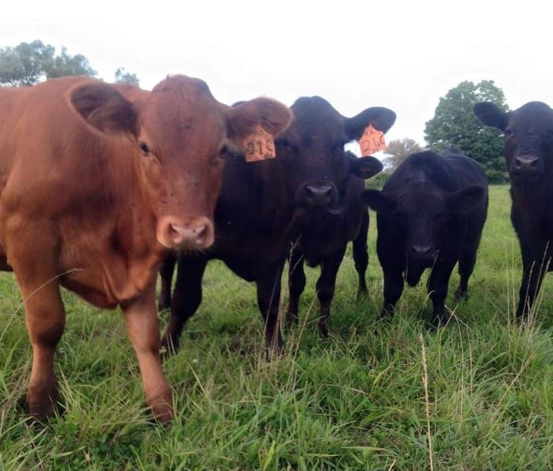 Help on the way for farmers experiencing processing delays: Chong post image