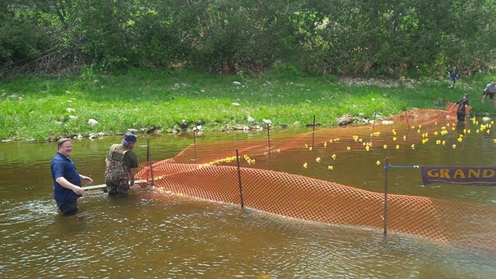Grand Valley Lions celebrating 25th duck race on May 23 post image