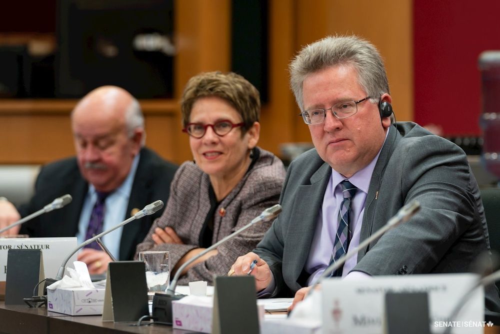 Black seeking more support for farms, agri-businesses post image