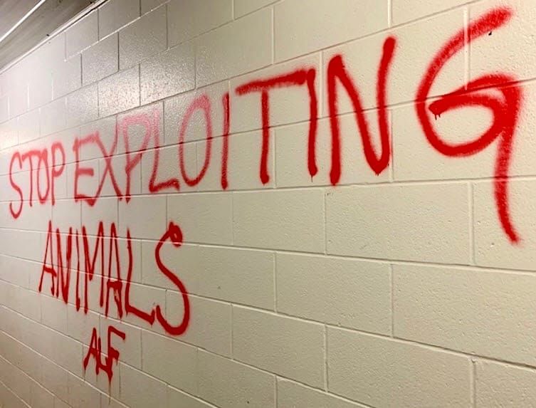 Police look to identify person(s) responsible for vandalizing U of G facility post image