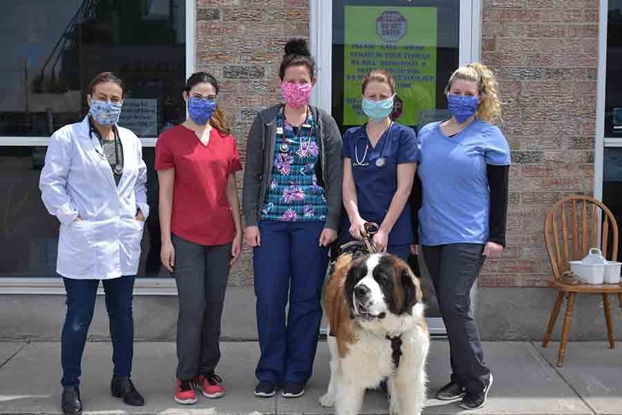 Veterinary services opened for regular services on May 19 post image