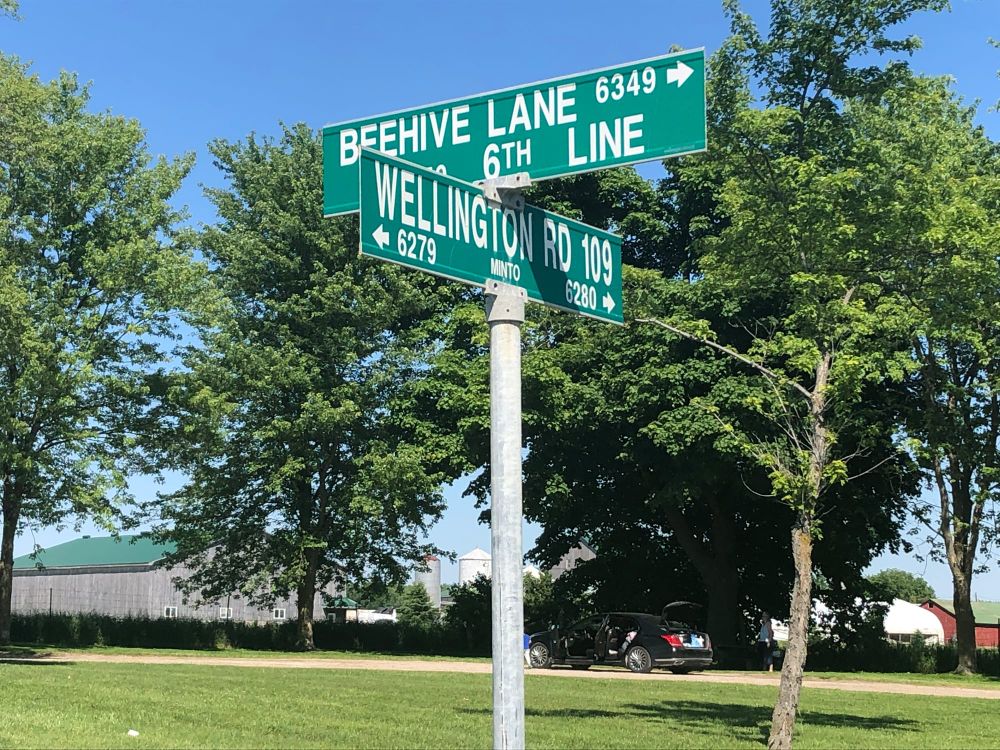 Fate of Beehive Park will have to wait post image