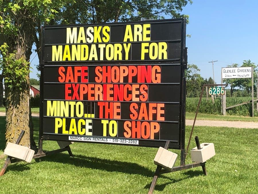 Minto launching campaign promoting safe shopping post image