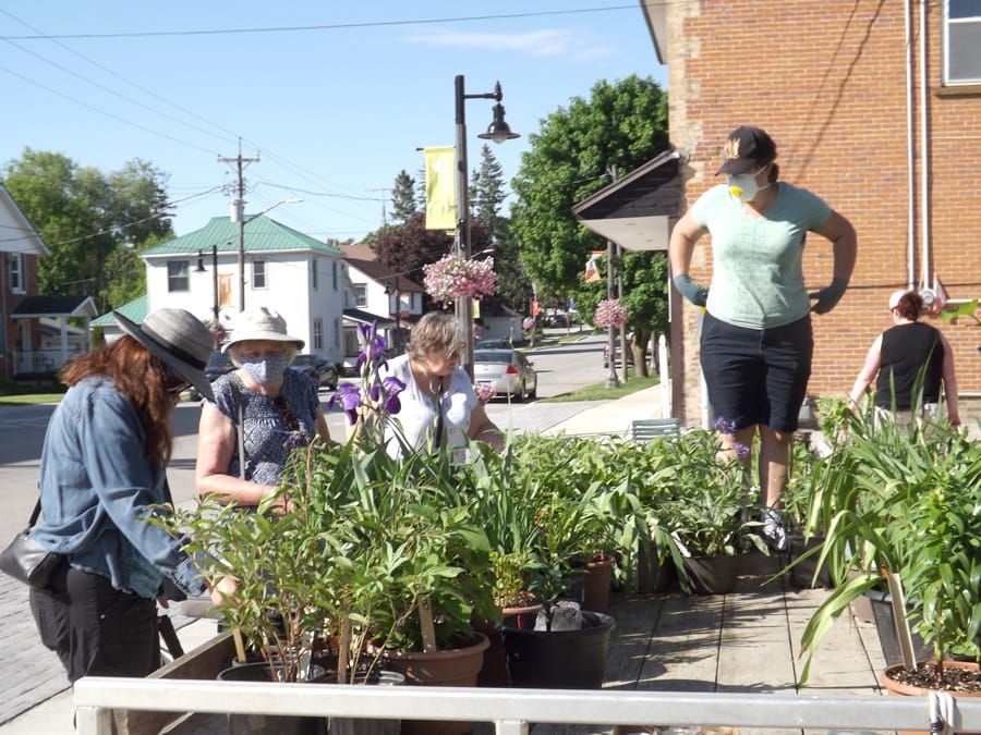 Mapleton Buds and Blooms held its annual plant sale on June 6 post image