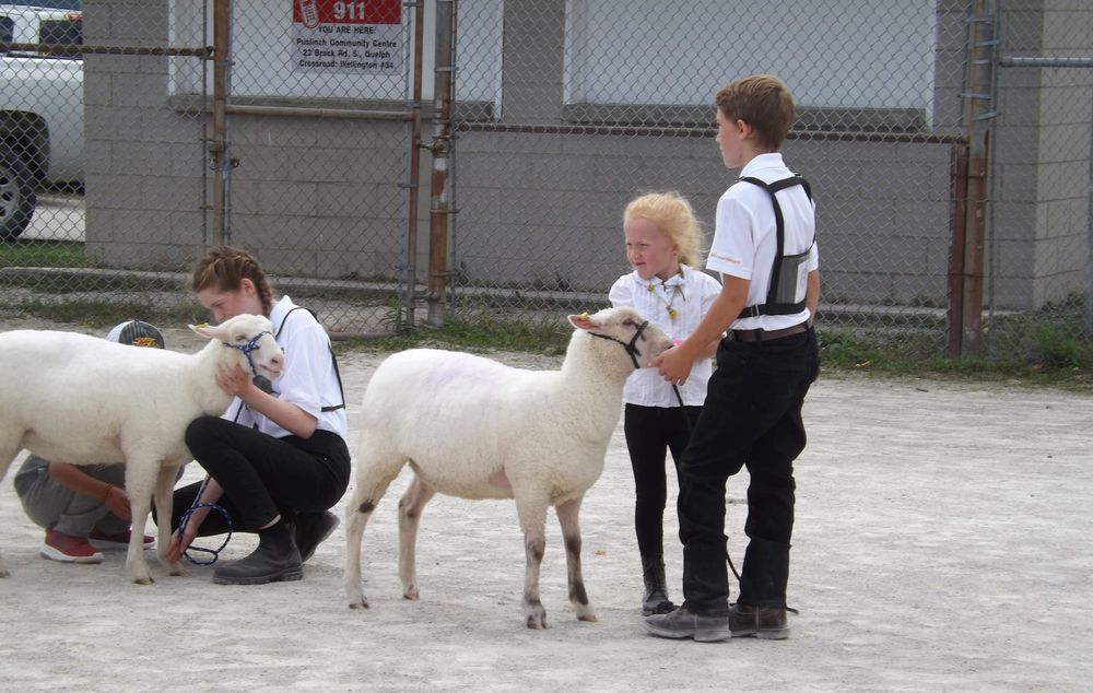 Aberfoyle Fall Fair cancelled due to COVID-19 post image