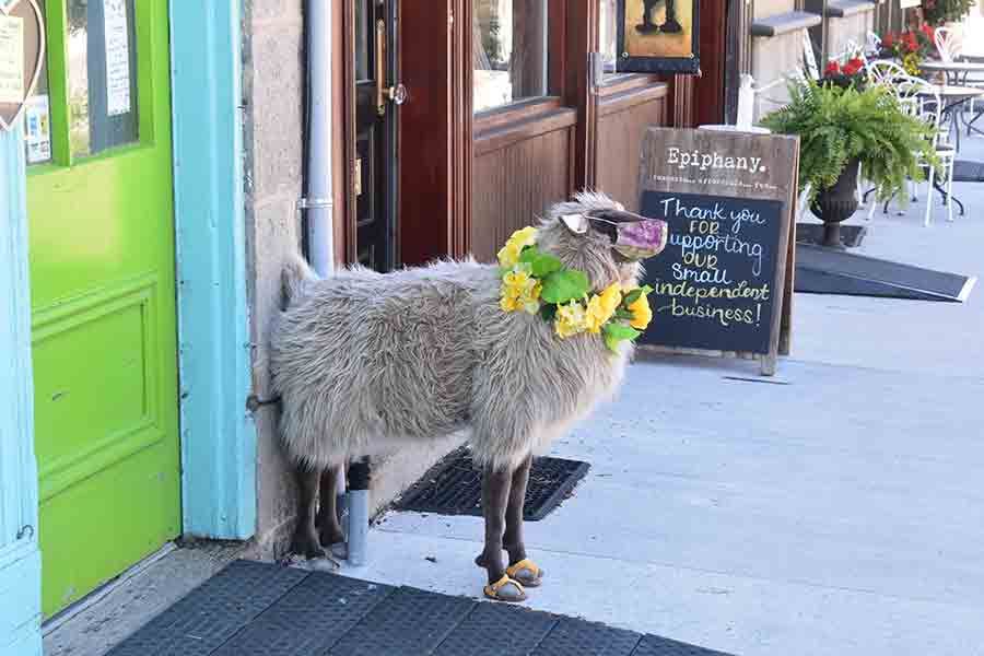 Elora shop helps spread the message to wear masks post image